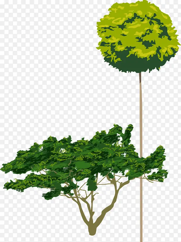 ʸ���ֻ����-������