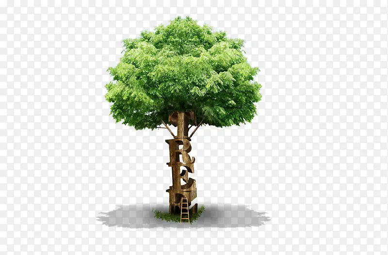 ������-������