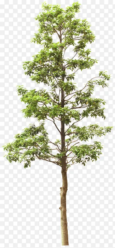 ����-������