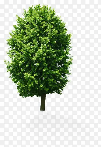 ����-������