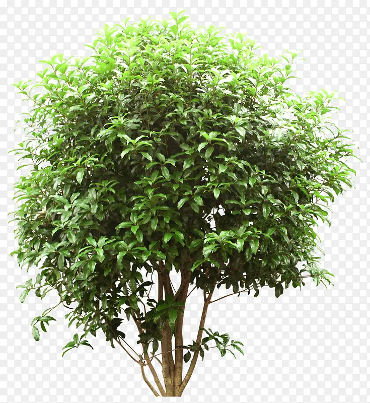 ����-������