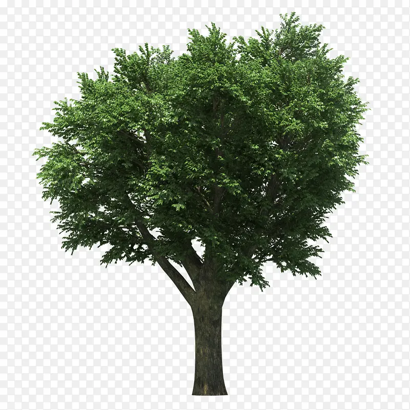 ����-������