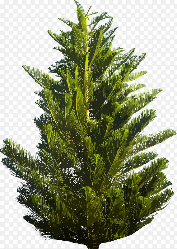 ʸ��ɼ��-������