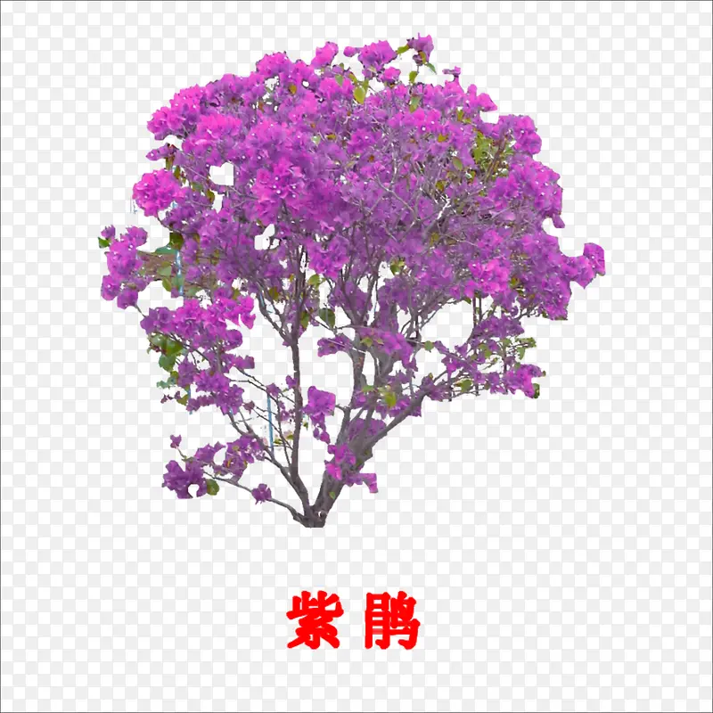 �Ͼ�-������