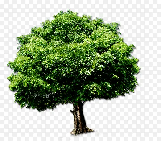 ����-������