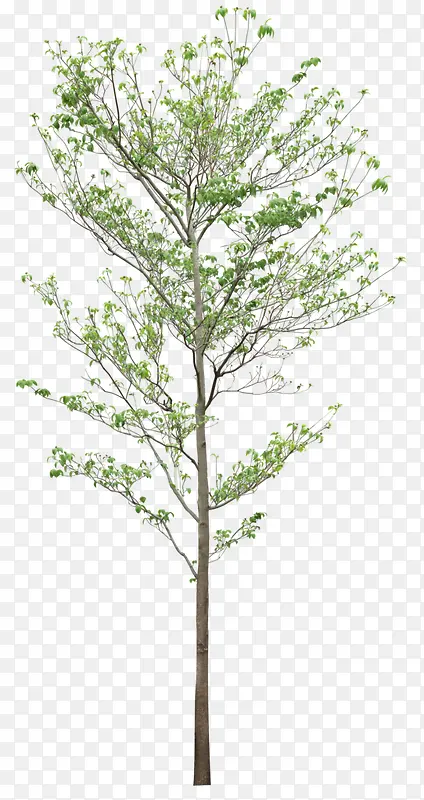 ����-������