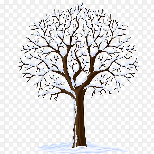 ��ѩ��ľʸ��ͼ-������