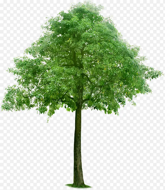 ��-������