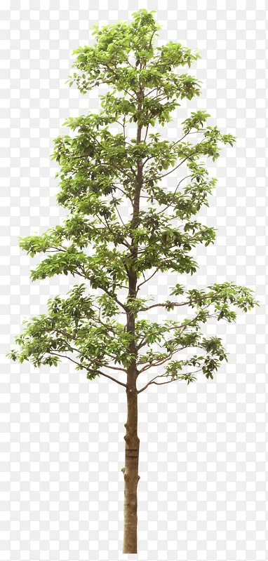 ����-������