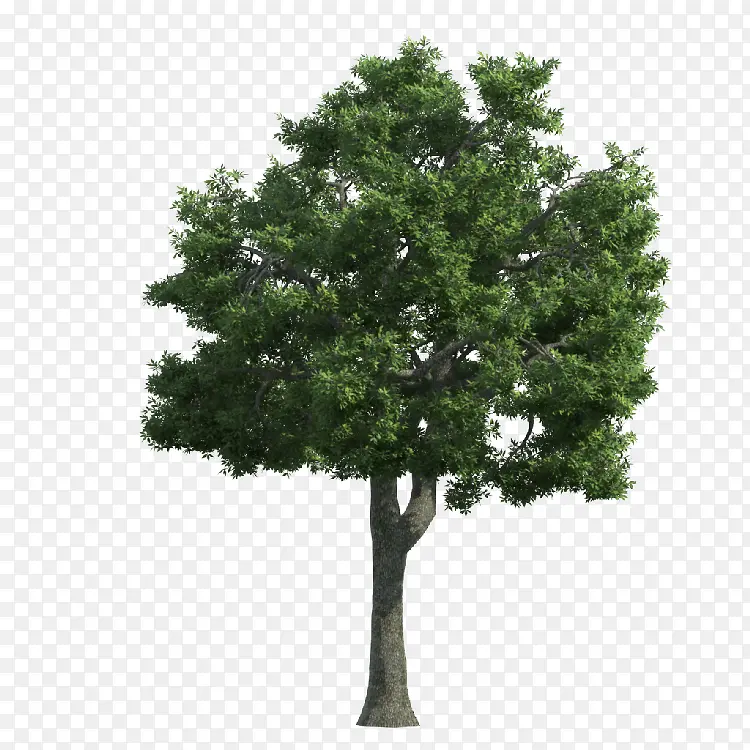 ����-������