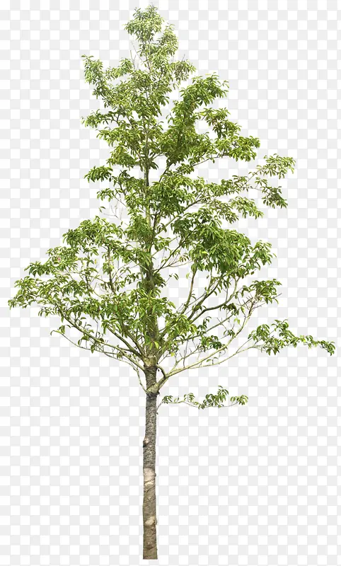 ����-������