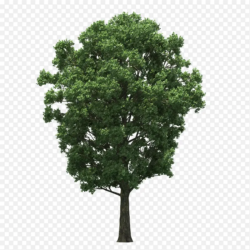 ����-������