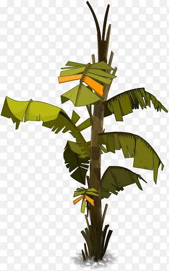 ��ľ������ͨ��ľ-������