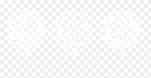 ������ľ-������