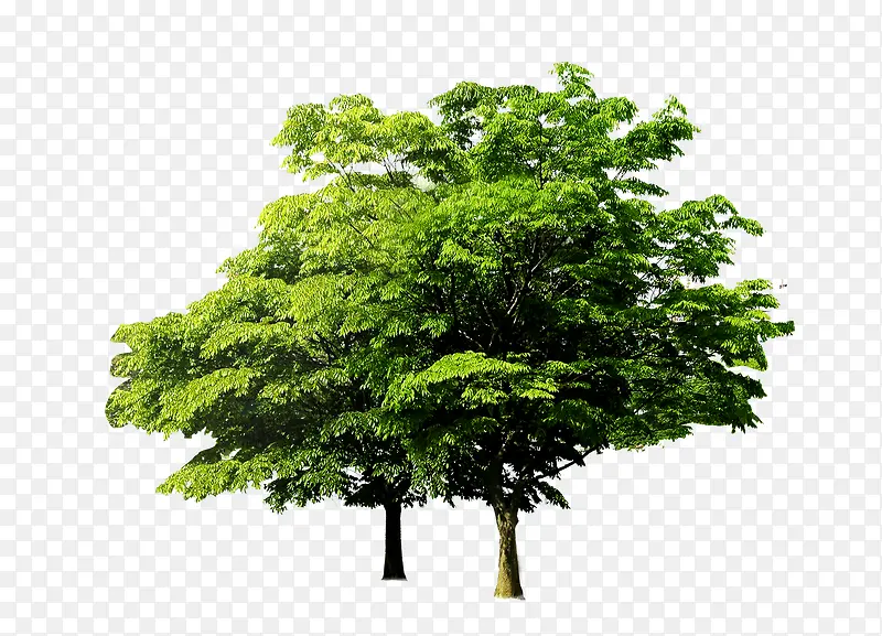 ��-������