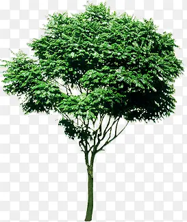 ��-������