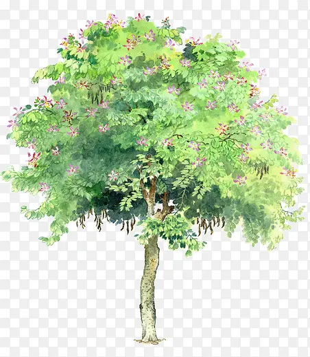 �ֻ���ľ-������