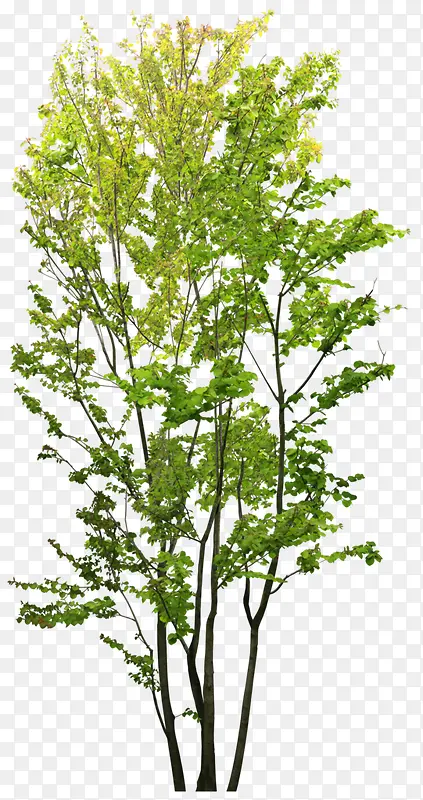 ����-������