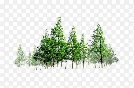 ��-������