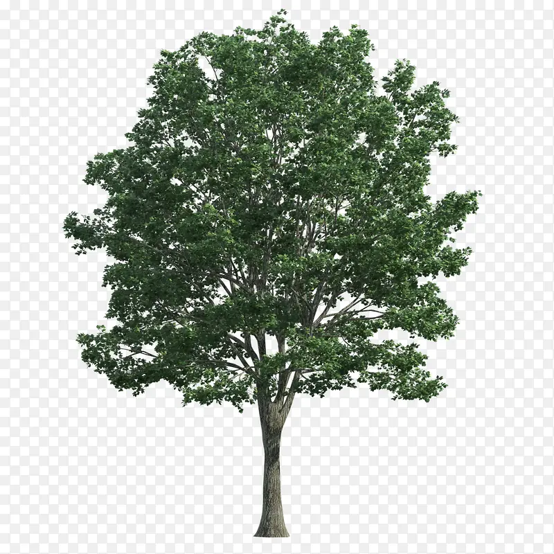 ����-������