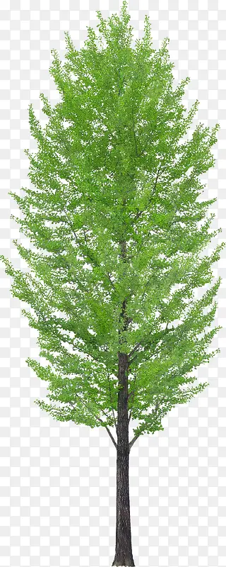 ����-������