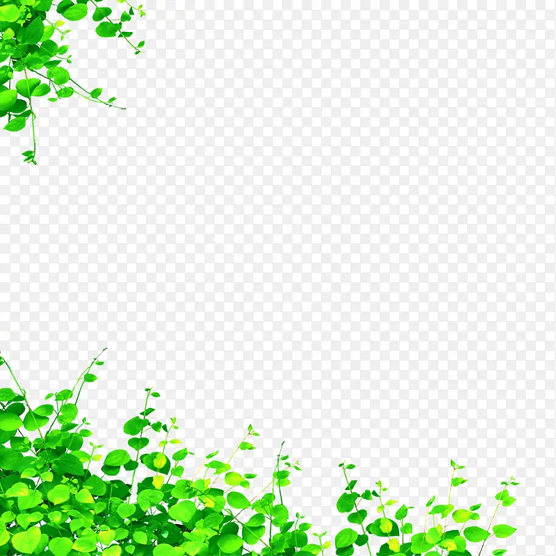 ��Ҷ-������