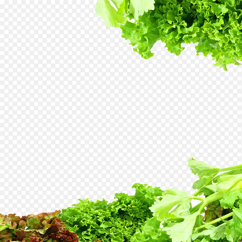 ��ɫ�߲�-������