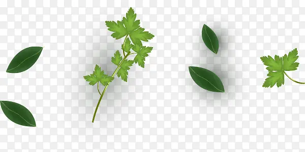 ʳƷ��ɫ��-������