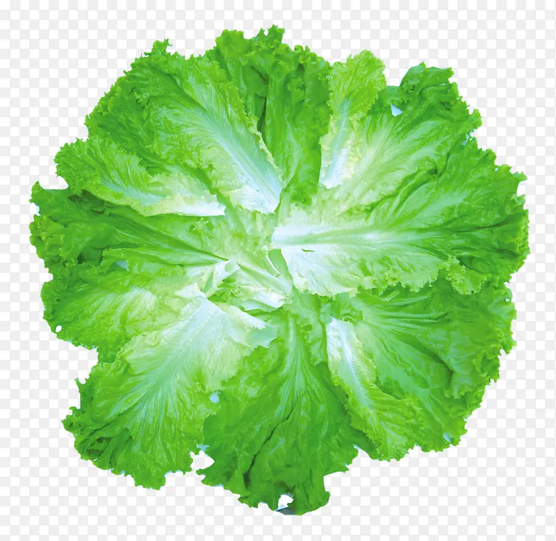 �߲�-������