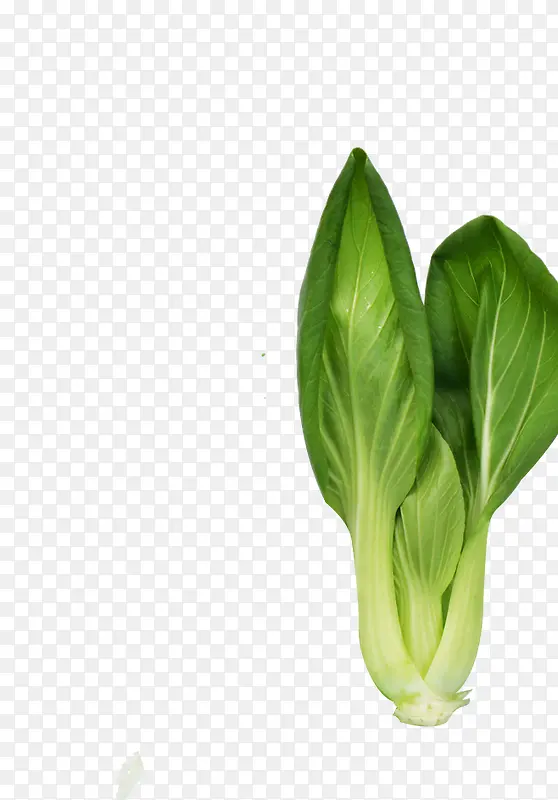 �߲�-������