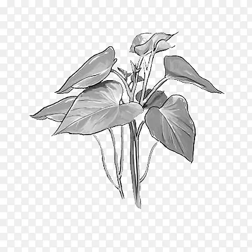 �ֻ淬��Ҷ-������