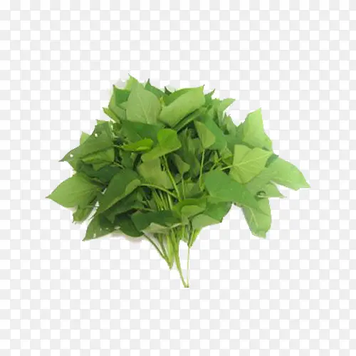 ����ʳ��-������