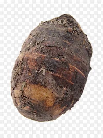 ��ͷ-������