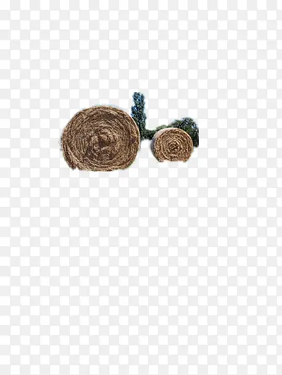 ũҵ-������