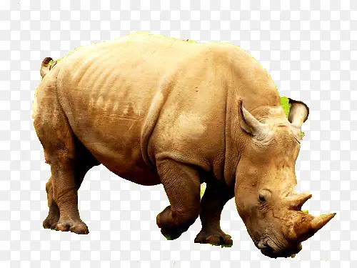 Ұ��Ϭţ-������