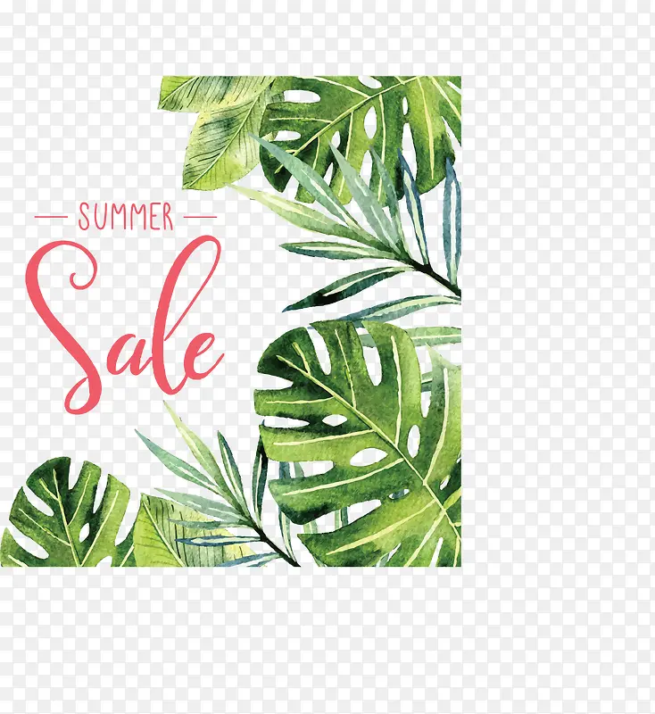 ˮ����Ҷ���մ���-������