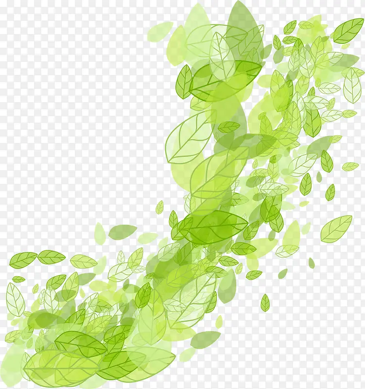 ��ͨ�ֻ�������Ҷ-������