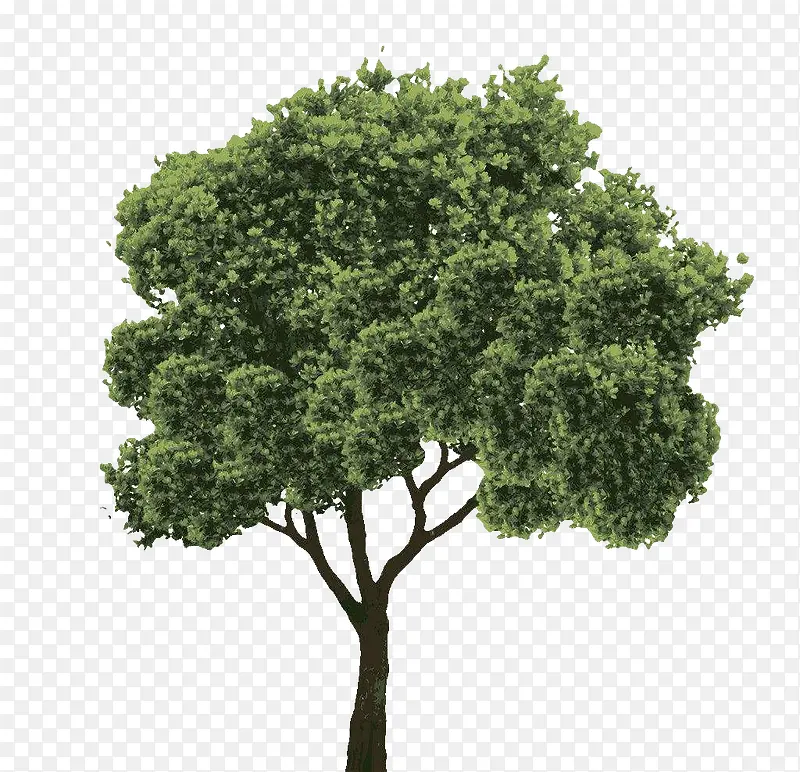 ������������-������