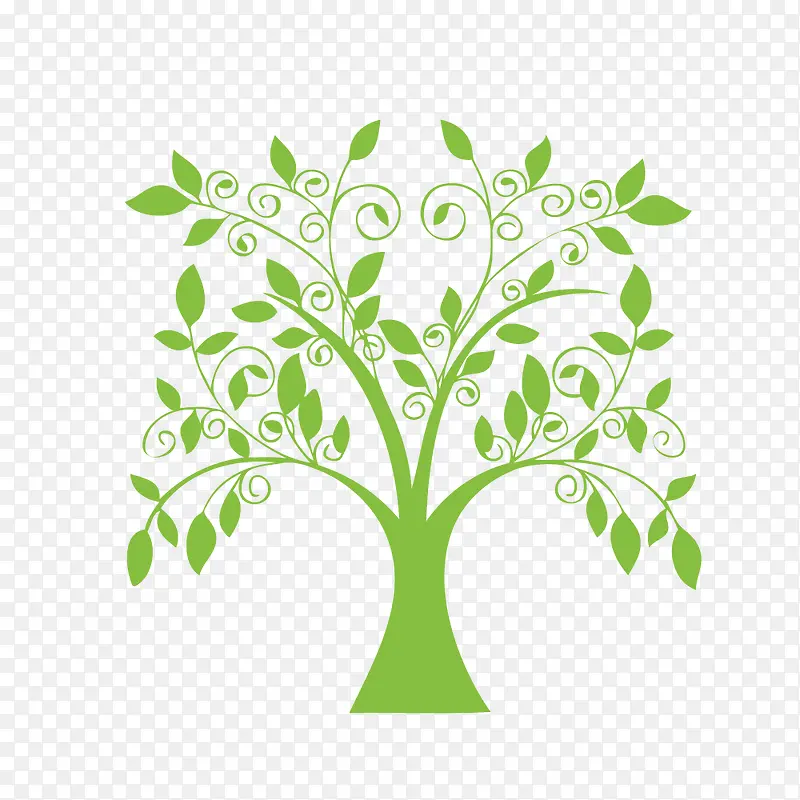 ��ɫʸ����-������