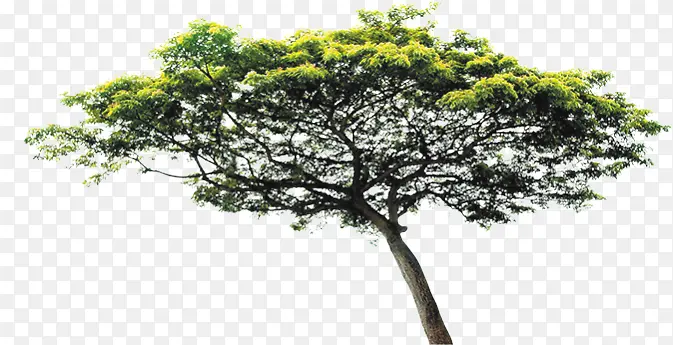 ��-������