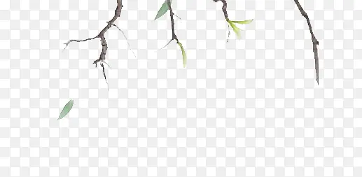 ��֦-������