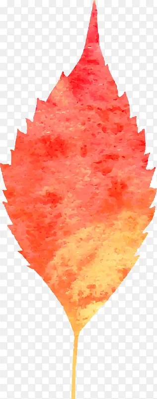 ˮ����Ҷ-������