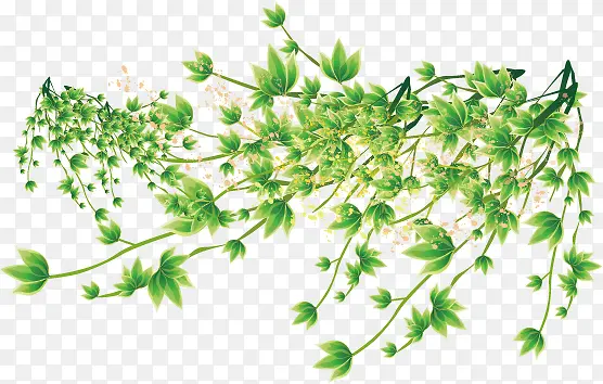 ��֦-������