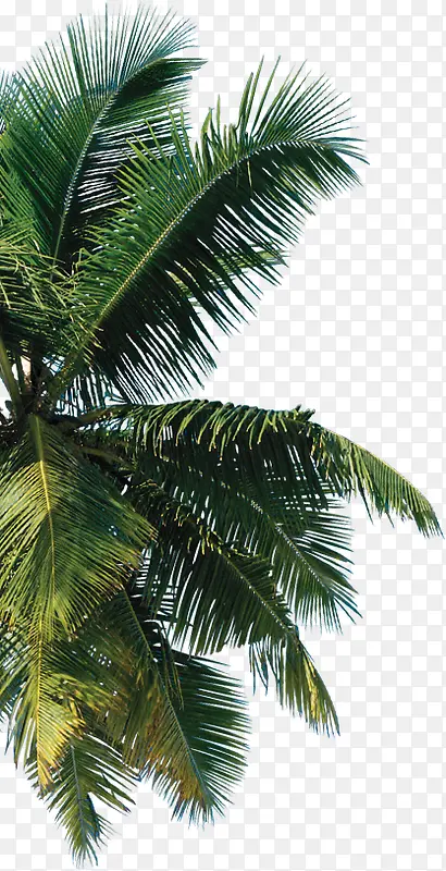 ��-������