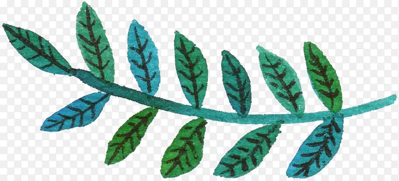 �ֻ���֦-������