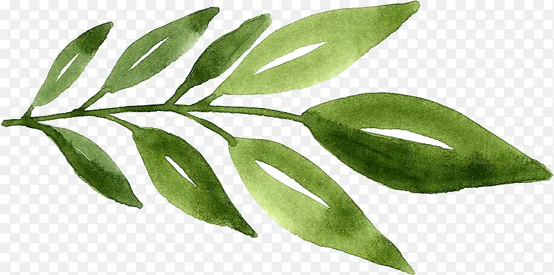 �ֻ���֦-������