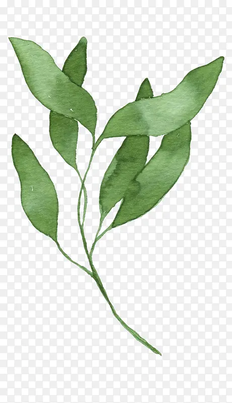 ˮ�ʷ��ֻ���Ҷ-������