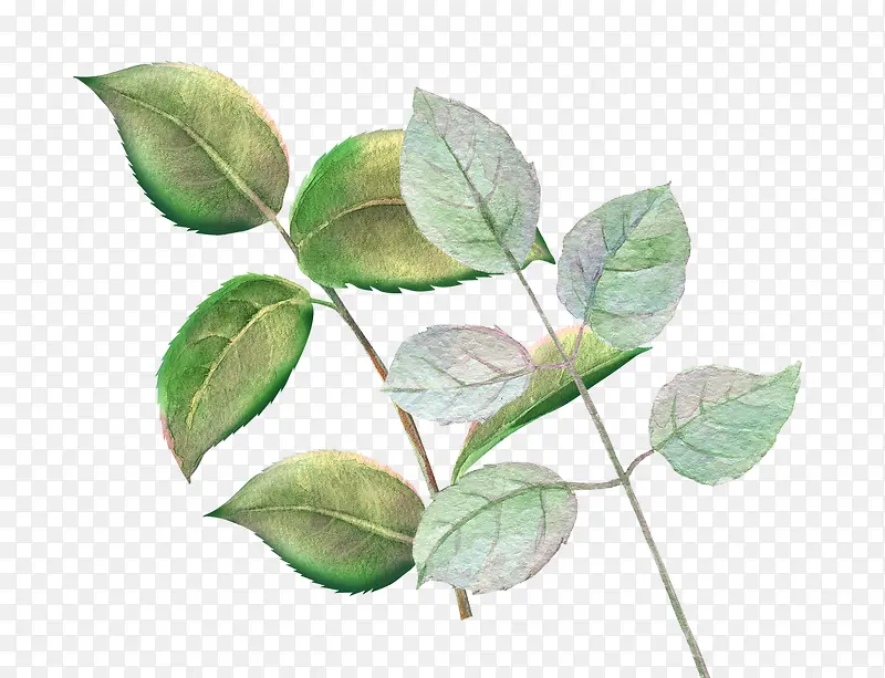 ˮ���ֻ�-������