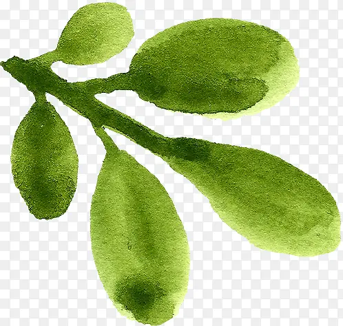 �ֻ���֦-������