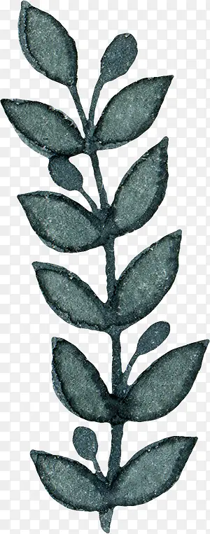 �ֻ���֦-������